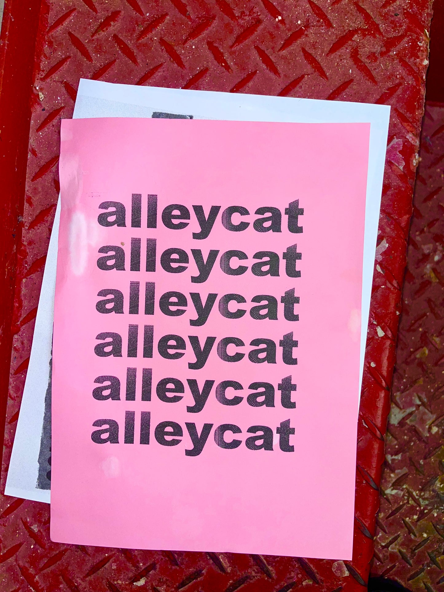 ALLEY CAT MAY 9TH 2026 FASHION SHOW TICKET